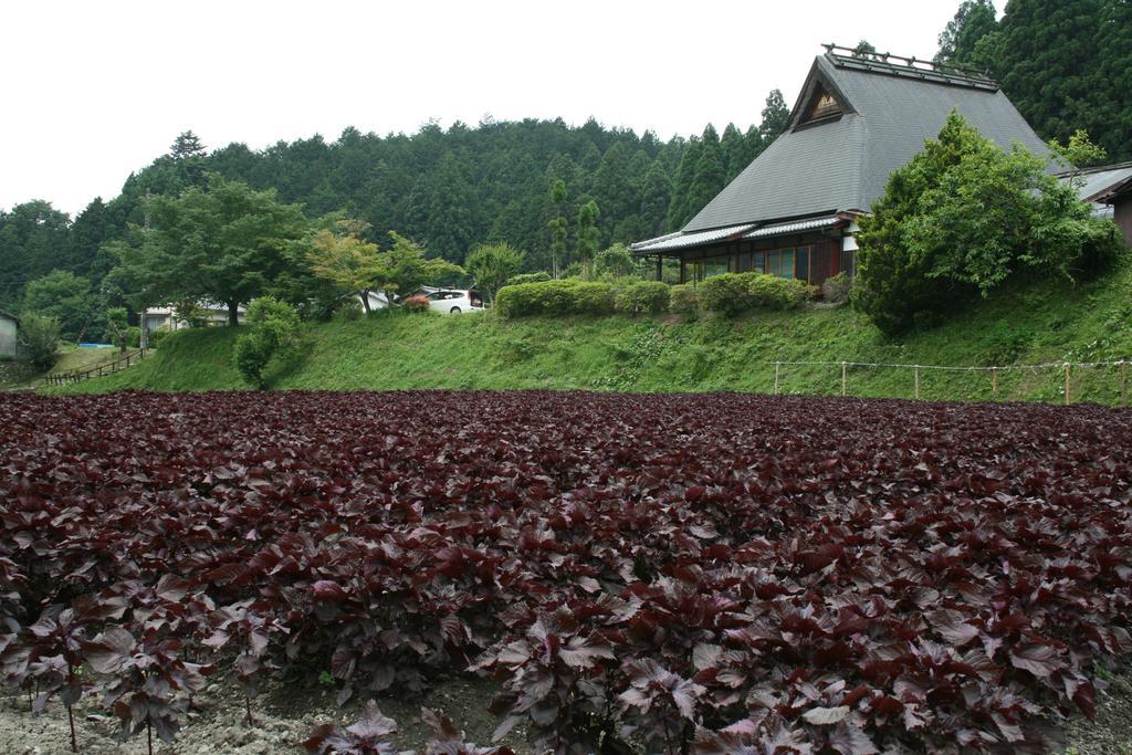 Hotel Yumoto Onsen Oharasansou Kioto Exterior foto
