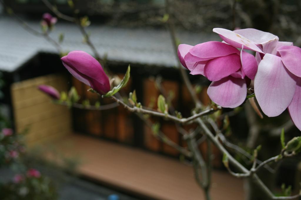 Hotel Yumoto Onsen Oharasansou Kioto Exterior foto
